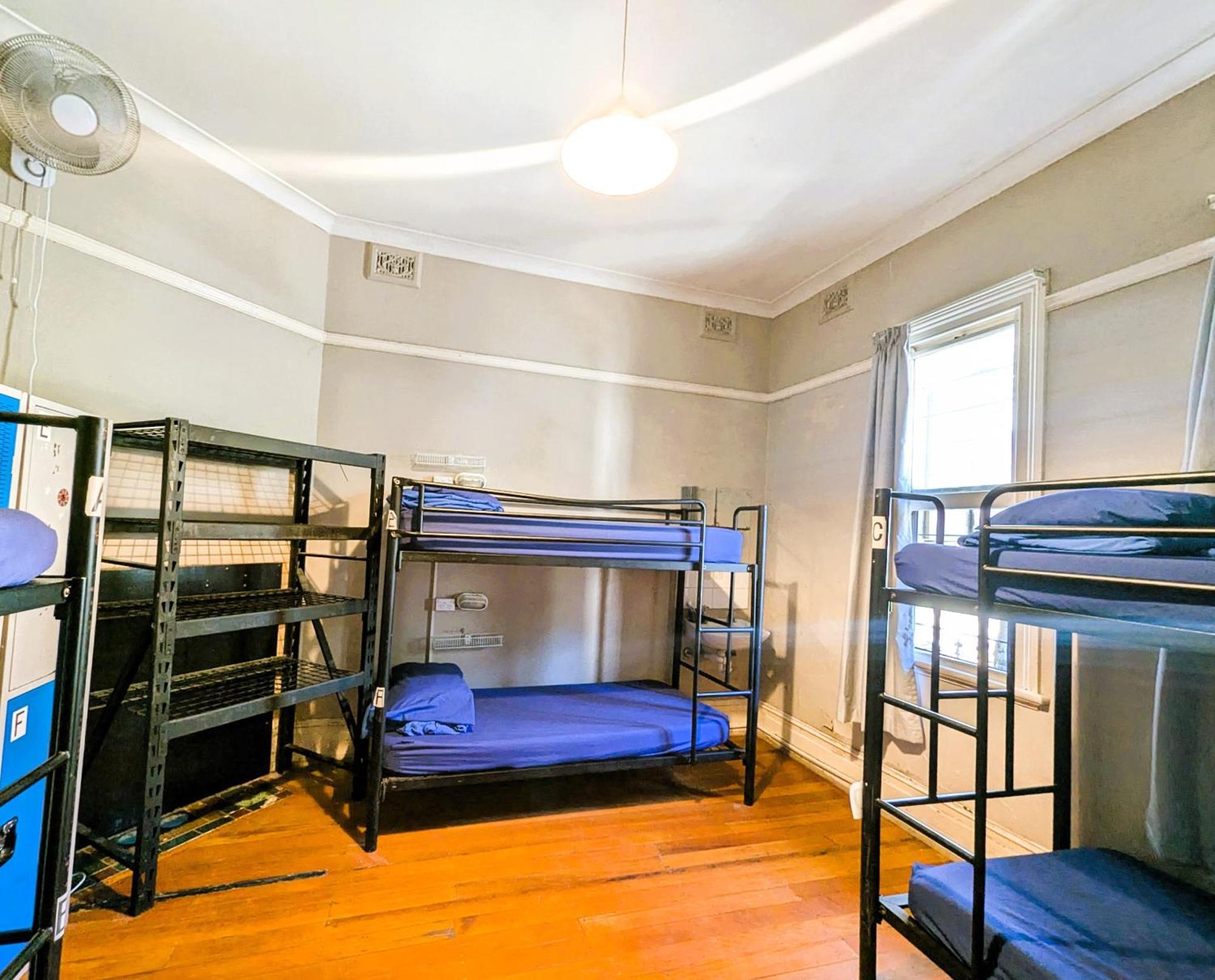 הוסטל סידני Newtown Backpackers מראה חיצוני תמונה